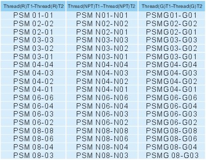 pipe fittings PSM