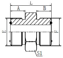 1F