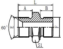 1BL