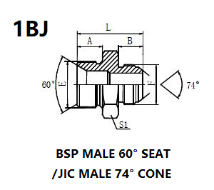 1BJ