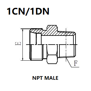 1CN/1DN